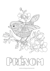 Coloriage gratuit Fleurs Mandala Oiseau Printemps Animal Oiseaux et mammifères volants