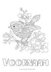 Gratis tekening Bloemen Mandala Vogel Lente Dier Vogels en vliegende zoogdieren