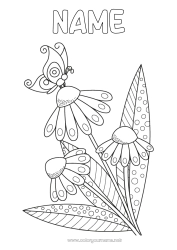 Free coloring Flowers Summer Spring Butterfly Animal Daisy Insects