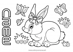 Free drawing Spring Bunny Butterfly Animal Insects Forest animals