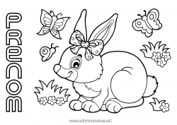 Coloriage gratuit Printemps Lapin Papillon Animal Insectes Animaux de la forêt