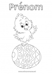 Coloriage gratuit Printemps Poussin Animal Oeufs de Pâques Pâques Animaux de la ferme