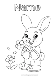 Free colouring Flowers Spring Rabbit Animal Easter Forest animals