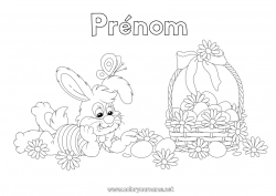 Dessin gratuit Fleurs Printemps Lapin Papillon Animal Oeufs de Pâques Pâques Panier Insectes Animaux de la forêt