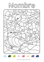 Colorear para personalizar Pájaro Primavera Colorear por números Actividades para niños Animales Aves y mamíferos voladores Cerezo Carbonero, Herrerillo