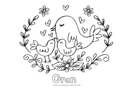 Free colouring Bird Spring Animal Birds and flying mammals