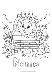 Free colouring Rabbit Animal Basket Forest animals