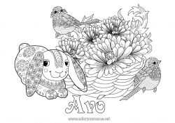 Página de desenho infantil Primavera Animal Pássaros e mamíferos voadores Chapim, Pega-azul