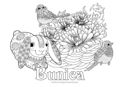 Pagină de colorat pentru copii Primăvară Animal Păsări și mamifere zburătoare Mesteacăn
