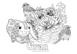 Free colouring Spring Animal Birds and flying mammals Great tit