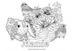 Coloriage enfant Printemps Animal Oiseaux et mammifères volants Mésange