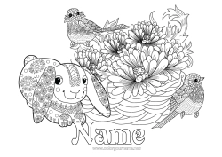 Free coloring Spring Animal Flying birds and mammals Titmouse, Blue Tit