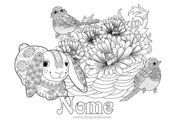 Desenho grátis Primavera Animal Pássaros e mamíferos voadores Chapim, Pega-azul