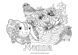 Pagina da colorare per bambini Primavera Animale Uccelli e mammiferi volanti Cinciallegra, Cinciarella