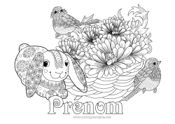 Coloriage gratuit Printemps Animal Oiseaux et mammifères volants Mésange