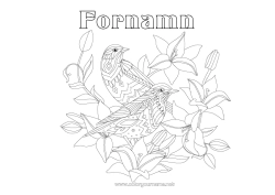 Gratis färgläggning Mandala Fågel Vår Djur Fåglar och flygande däggdjur