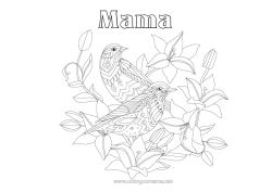 Pagină de colorat gratuită Mandala Pasăre Primăvară Animal Păsări și mamifere zburătoare