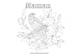 Coloriage enfant Mandala Oiseau Printemps Animal Oiseaux et mammifères volants