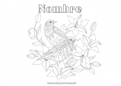 Niño página para colorear Mandala Pájaro Primavera Animales Aves y mamíferos voladores