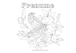 Desen liber de colorat Mandala Pasăre Primăvară Animal Păsări și mamifere zburătoare