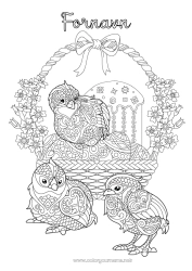 Gratis fargelegging Mandala Fugl Dyr Påskeegg Kurv Komplekse fargelegginger Fugler og flygende pattedyr Meis