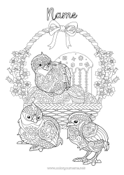 Free drawing Mandala Bird Animal Easter eggs Basket Complex coloring pages Flying birds and mammals Titmouse, Blue Tit