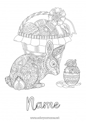 Free drawing Mandala Bunny Easter eggs Easter Basket Complex coloring pages Forest animals