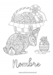 Dibujo libre Mandala Conejo Huevos de Pascua Pascua de Resurrección Cesta Dibujos complejos para colorear Animales del bosque