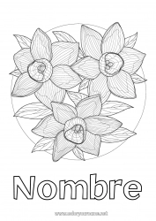 Dibujo libre Flores Primavera Narcisos Dibujos complejos para colorear