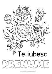 Pagină de colorat personalizată Mama Bunica La mulți ani! Te iubesc. Bufniță, Uluce. Animal 