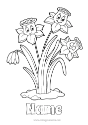 Free colouring Flowers Spring Daffodils