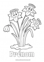 Coloriage gratuit Fleurs Printemps Jonquilles