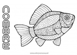 Colorear gratis Calma y zen Mandala Animales Pescado Día de los Inocentes Dibujos complejos para colorear Animales marinos o acuáticos