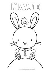 Free colouring Bird Rabbit Animal Birds and flying mammals Forest animals