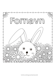 Gratis tegning Blomster Kanin Dyr Marguerite Skovens dyr