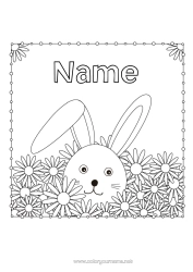 Colouring to customise Flowers Rabbit Animal Daisy Forest Animals
