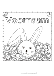 Gratis tekening Bloemen Konijn Dier Madeliefje Bosdieren