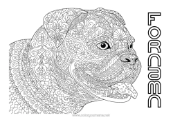Gratis färgläggning Mandala Hund Djur Hundar och katter