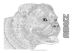 Free colouring Mandala Dog Animal Dogs and cats