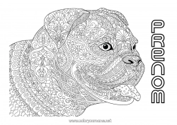 Coloriage gratuit Mandala Chien Animal Chiens et chats