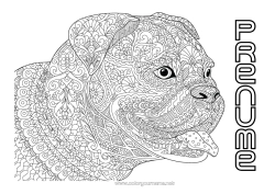 Desen liber de colorat Mandala Câine Animal Câini și pisici