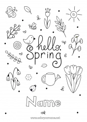 Free coloring Flowers Spring