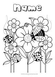 Free colouring Flowers Spring Animal Ladybird Insects