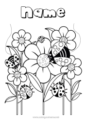 Free coloring Flowers Spring Animal Ladybug Insects