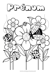 Coloriage à personnaliser Fleurs Printemps Animal Coccinelle Insectes