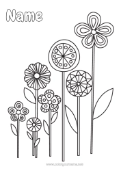 Free colouring Flowers Spring