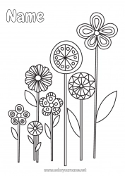 Free coloring Flowers Spring