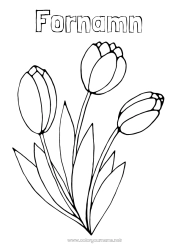 Gratis färgläggning Blommor Vår Lätta målarbilder