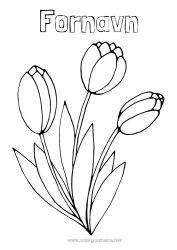 Gratis fargelegging Blomster Vår Enkle fargelegginger