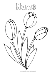 Free colouring Flowers Spring Easy colouring pages